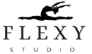 logo 1a